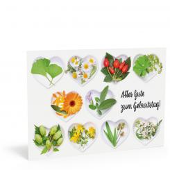 Geburtstags-Karte 