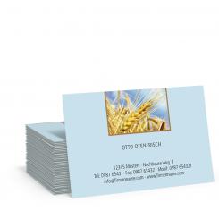 Geschäftskarte "Ähre" 