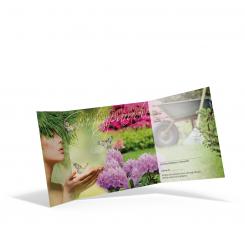 Geschenkgutschein "Dream of Green" 