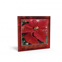 Geschenkgutschein Weihnachten "Weihnachtsstern" inkl. Kuvert 