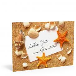 Geburtstags-Postkarte "Muscheln" 