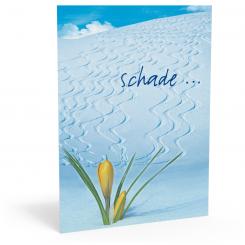 Schade... "Skispuren" 