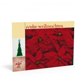 Weihnachtskarte "Weihnachtsstern" 
