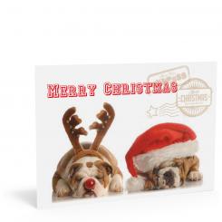Weihnachtskarte "Hunde" 