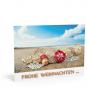 morepic-1